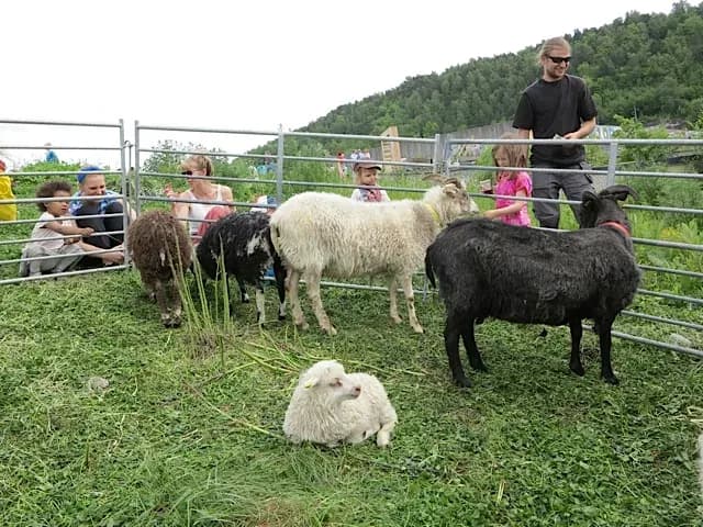 14juni_Loseter2
