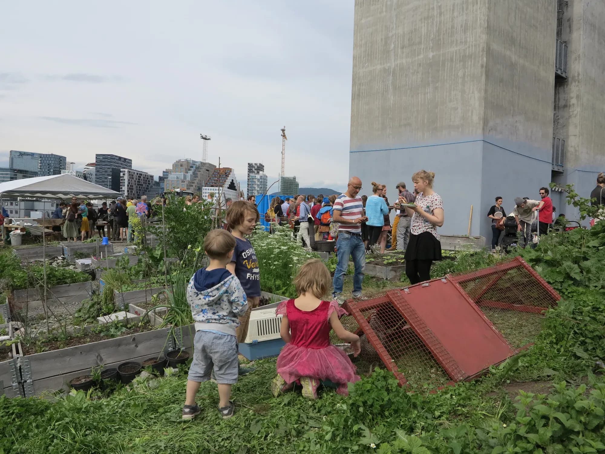 2015_soilprocession_fotoVH