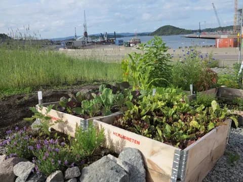 herligheten27072012_1_web