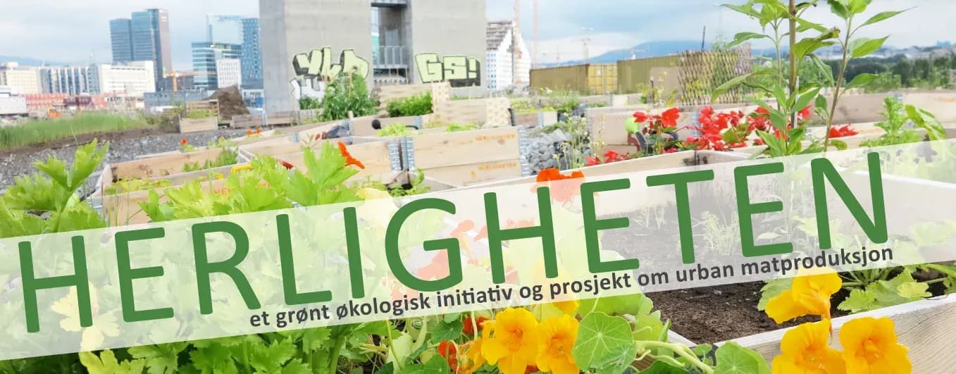 web_banner_herligheten